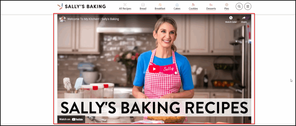 A screenshot of a video highlighted on the about page.