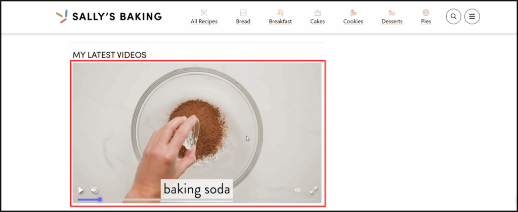 A screenshot of a video highlighted on the Minimal Ingredient Baking page.